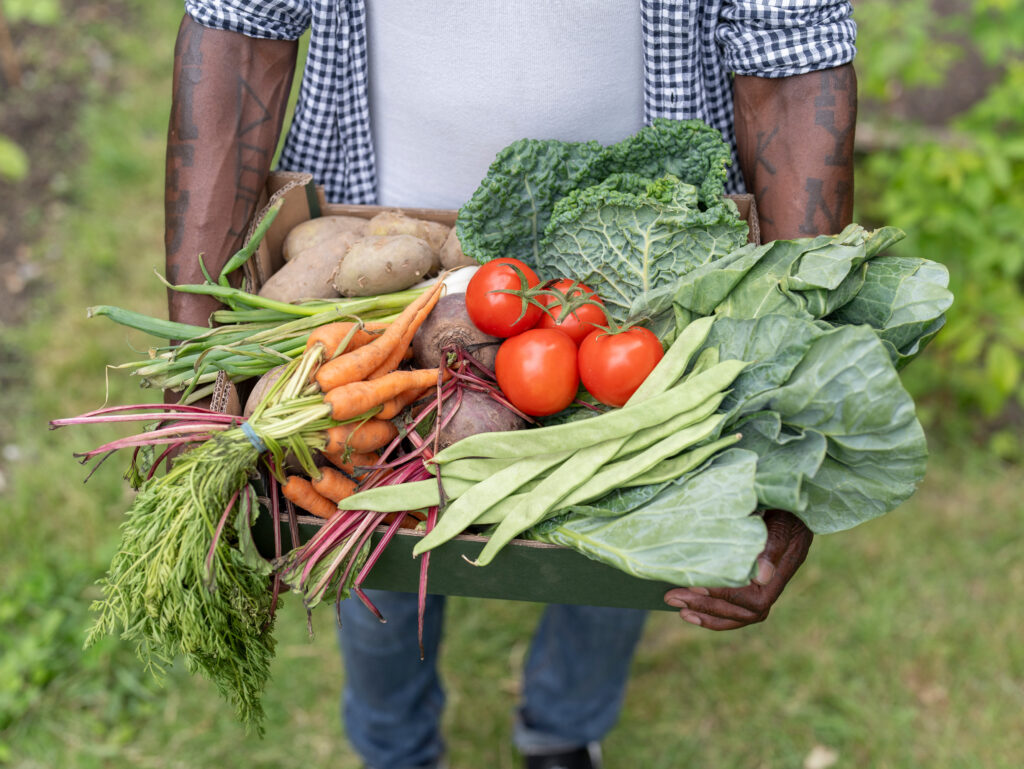 Man holding gleaned vegetables from Vermont garden